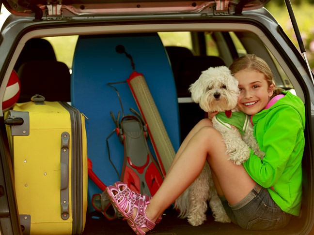 How To Prepare Your Pets For An International Move How To Prepare Your Pets For An International Move