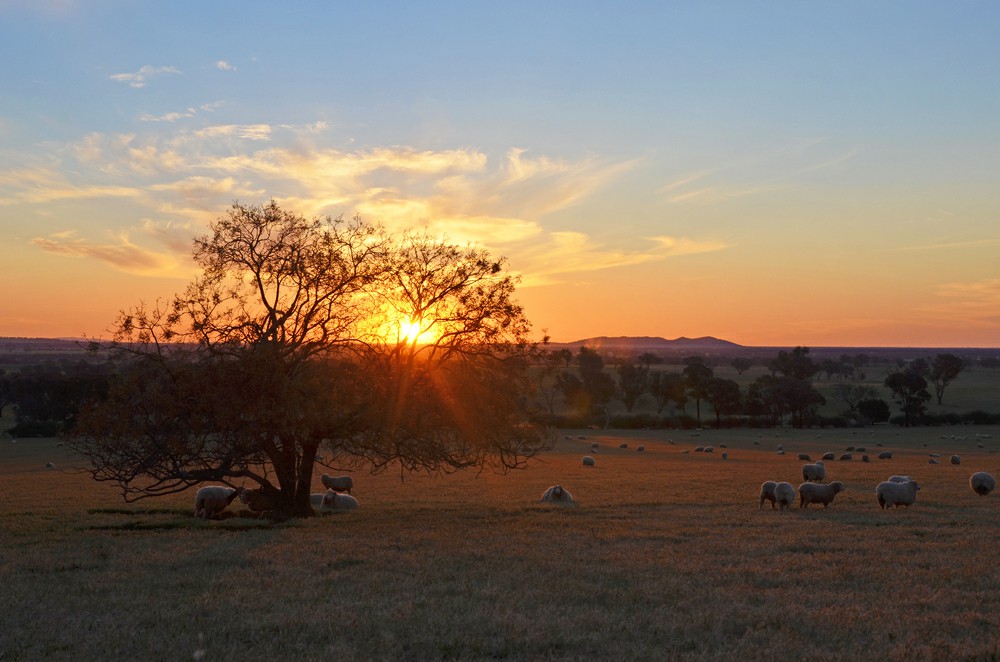 moving to regional NSW
