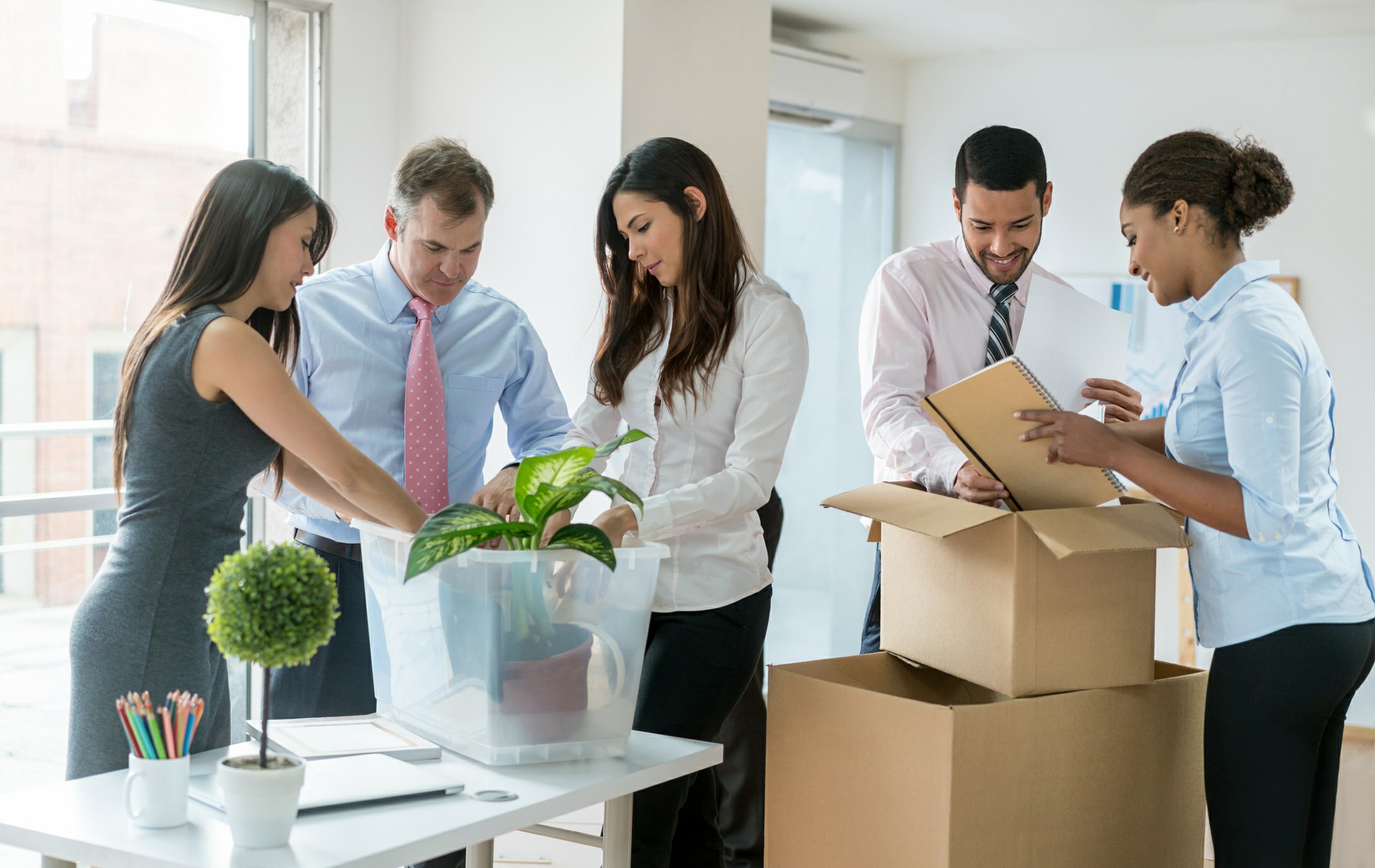 Team of office employees packing plants, documents, and supplies into moving boxes during a corporate office relocation with Chess Moving.