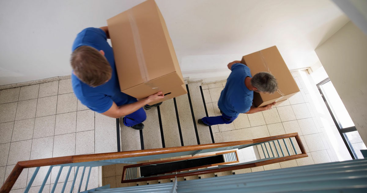 Hire Professional Movers. Why Chess Moving Is The Best Choice Two men carrying stacked boxes up a flight of stairs, focused on their task. Hire Professional Movers. Why Chess Moving Is The Best Choice