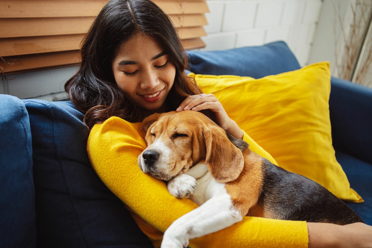 Bringing Your Pet to Thailand Rules and Regulations A woman in a yellow sweater smiles while holding her small dog in her arms. Bringing Your Pet to Thailand Rules and Regulations