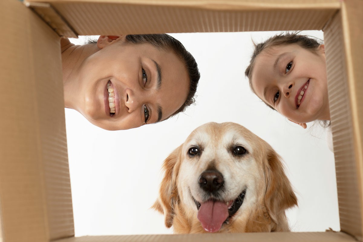 How To Avoid Common Moving Mistakes Two girls and a dog peeking inside a cardboard box, representing a playful scene related to common moving mistakes. How To Avoid Common Moving Mistakes
