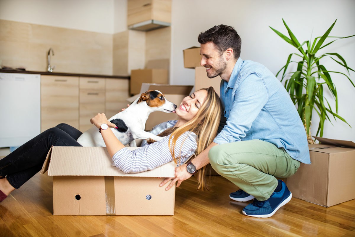 How To Prioritise Tasks And Stay On Track A man and woman share a cardboard box with a dog, illustrating collaboration and focus on staying organized. How To Prioritise Tasks And Stay On Track