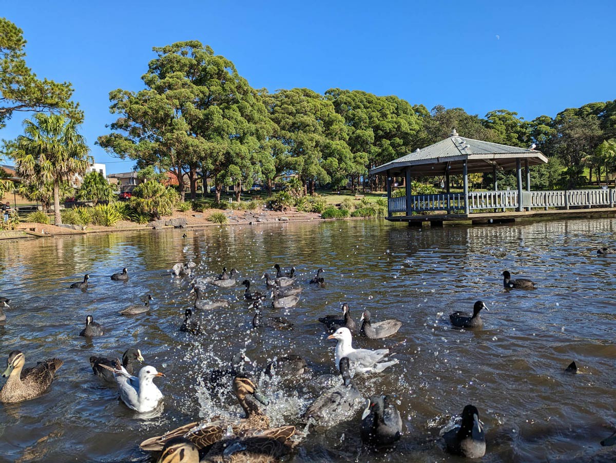 Services in Toowoomba