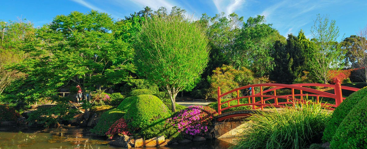 Essential guide for a move from Adelaide to Toowoomba