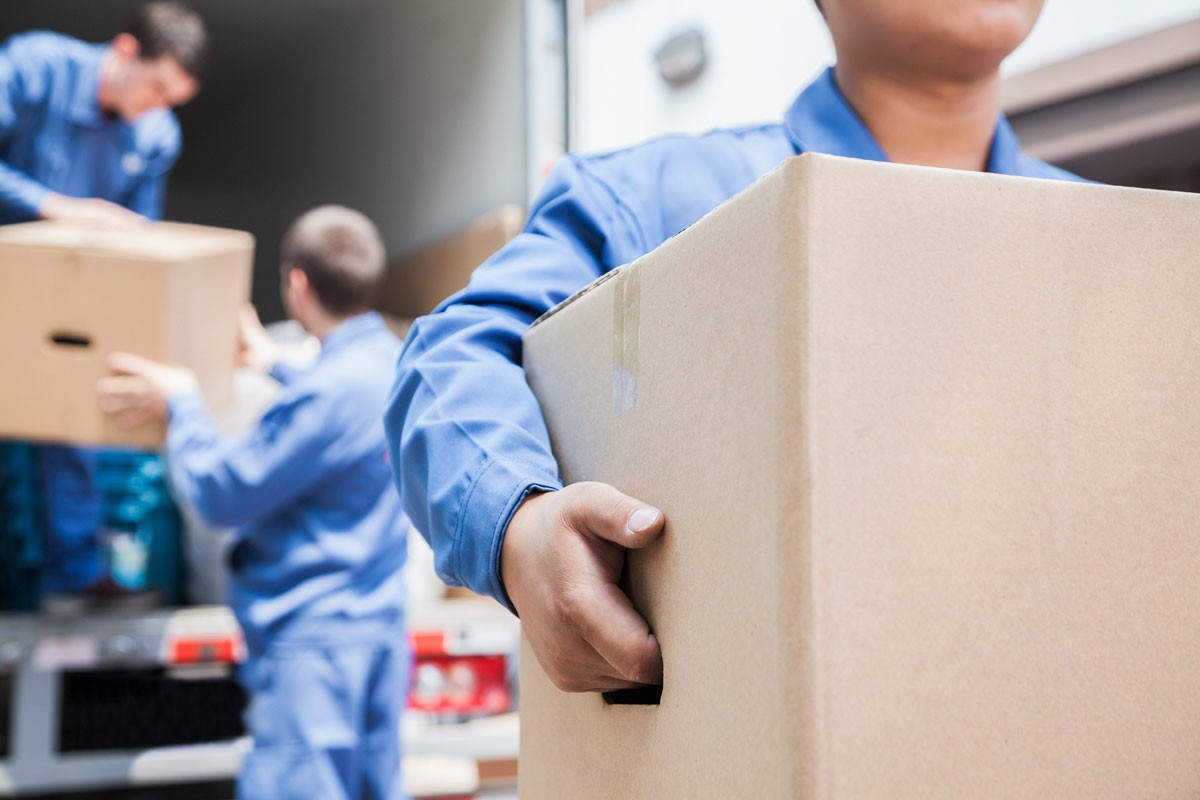 Chess Moving Adelaide Office