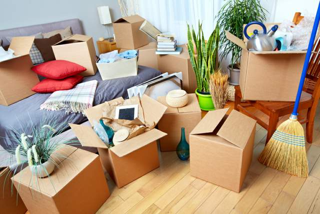 best removalists