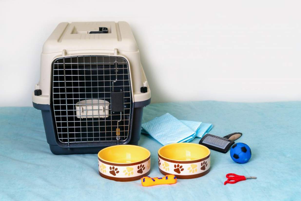 Looking For Overseas Or Interstate Pet Transport Australia Chess