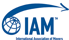 IAM Logo